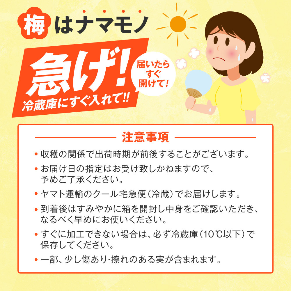 手もぎ 完熟南高梅 10kg 大粒 3Lサイズ以上 谷本農園 CX064_イメージ5