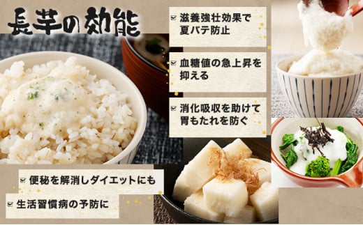 【3か月定期便】ねばりまこと芋（ネバリスター）4kg（真空パック包装）【02402-0293】