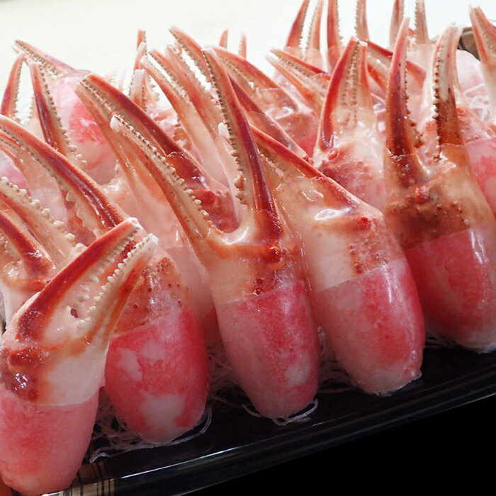 【ふるさと納税】生食用本ズワイガニ爪ポーション(お刺身・かにしゃぶ・フライ等) 選べる 700g 1.5kg かに カニ 蟹 ずわいがに ズワイ蟹 ずわい蟹 北海道 根室市