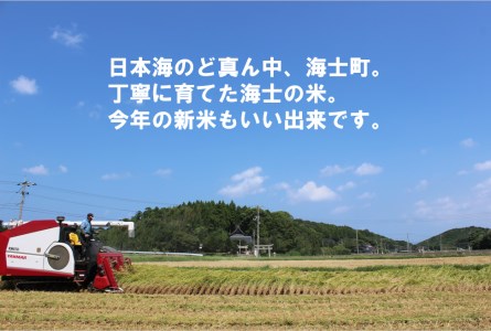 【海士町産きぬむすめ10kg】島のきぬむすめをお届け！ お米 精米 白米 弁当 ごはん ご飯 きぬむすめ ギフト