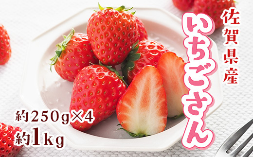 佐賀県産 いちごさん 合計約1kg 250g×4パック 苺 いちご イチゴ 114-B1014_イメージ4