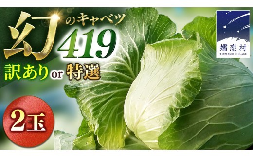 
                  【7月中旬発送開始】 まぼろしの419キャベツ 2玉 きゃべつ 嬬恋村産キャベツ 羽生田売店 幻のキャベツ419 産地直送 期間限定 先行予約 人気 朝採り 通販 お取り寄せ 関東 群馬 出荷時期限定 先行受付 [AL020tu00]
                