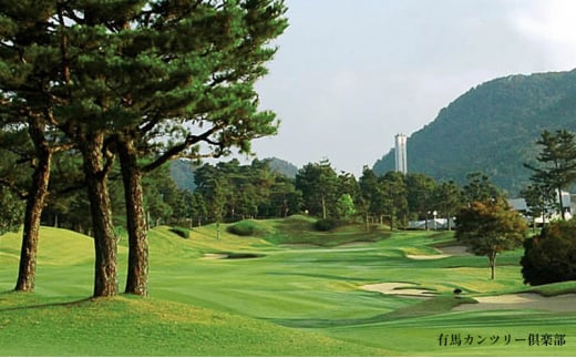 【ふるさと納税】ゴルフプレー券 三田市内ゴルフ場 ゴルフ利用券 セルフプレー(昼食付) 全日1組 土日祝 ギフト お祝い 贈答品 中元 歳暮 数量限定 期間限定 人気 ふるさと納税 ふるさと 人気 お