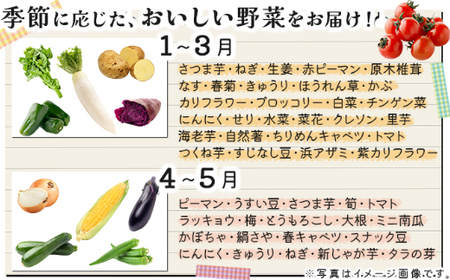 お味噌と野菜８品セット _rk014