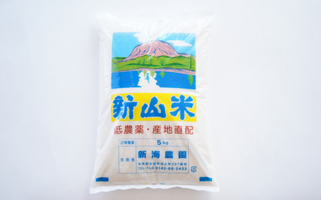 【令和6年産 新米】新山米(ななつぼし)5kg×2袋 10kg 隔月2回お届け 【 ふるさと納税 人気 おすすめ ランキング 北海道 壮瞥 定期便 隔月 新米 米 白米 ななつぼし 甘い おにぎり お