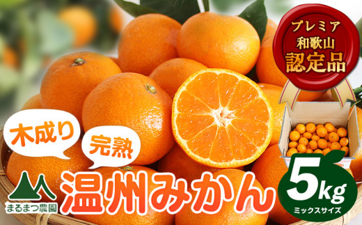 【先行予約】木成り完熟 温州 みかん ミックスサイズ 約 5kg まるまつ農園《2026年12月上旬-2027年1月末頃出荷》 和歌山県 日高川町 温州みかん みかん 完熟