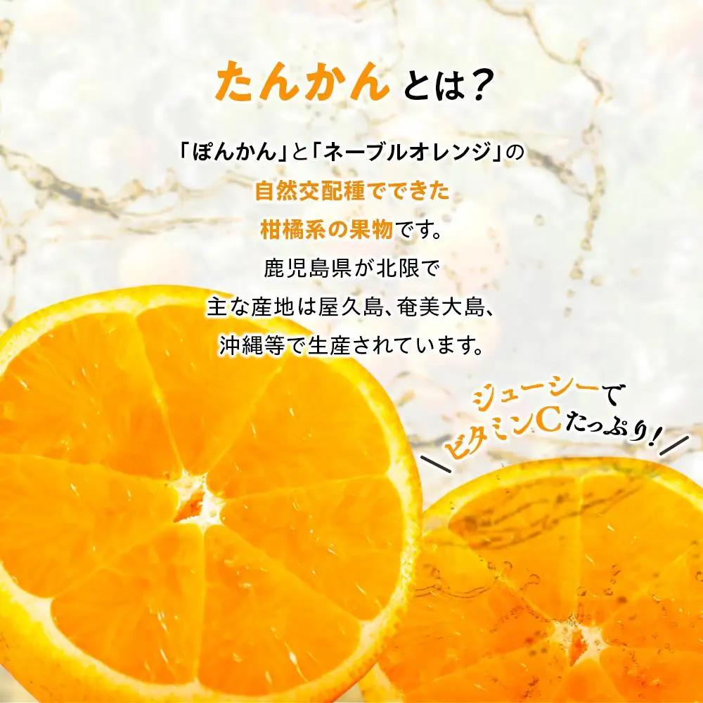 2027年発送 屋久島産たんかん 家庭用 訳あり 約3kg(S～2Lサイズ・少々キズあり)＜先行予約／数量限定＞