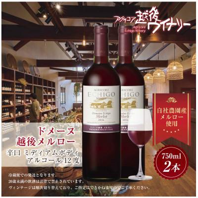 ふるさと納税 南魚沼市 ドメーヌ・越後メルロー  赤 750ml 2本セット 越後ワイナリーの辛口 ミディアムボディ 南魚沼 |  | 03