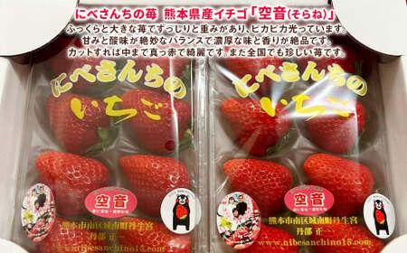 にべさんちの苺 熊本県産イチゴ空音(そらね)極み 【2025年1月下旬発送開始】