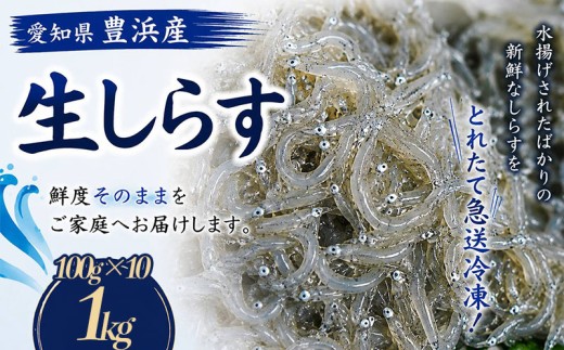 訳あり 生しらす 1kg 小分け 簡易包装 愛知県 南知多町
