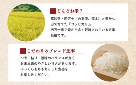 24-149．【令和6年産新米・早期受付】四万十のこしひかり10kg（5kg×2袋）【2024年9月より順次配送】