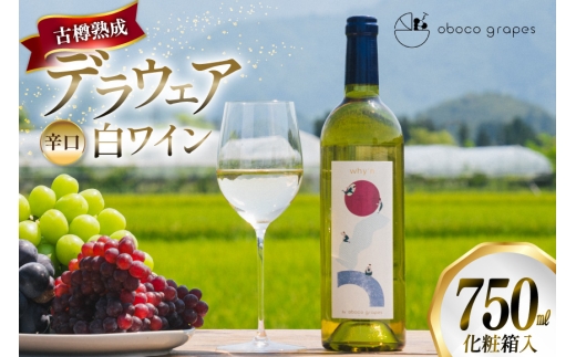 ワイン 白 why'n デラウェア 2025 750mL 1本 [oboco grapes 山形県 高畠町 tk06ayt250010] デラウェア 辛口 わいん 日本ワイン 国産 ぶどう 果実酒 Wine 酒 お酒 白ワイン 葡萄 ブドウ