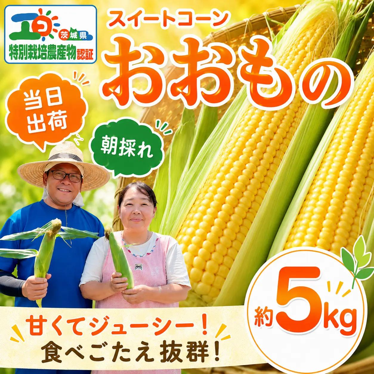 【 朝採れ 当日出荷 】 スイートコーン 「 おおもの 」 約5kg 甘い 新鮮 皮付き トウモロコシ とうもろこし コーン 野菜
