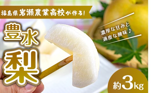 
                  岩瀬農業高校産 梨（豊水）約3kg F6Q-537
                
