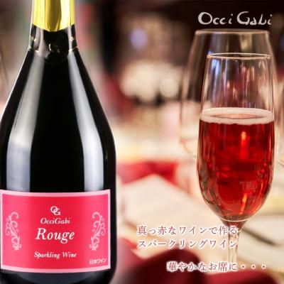 ふるさと納税 余市町 【全12回定期便】リピーター続出!ルージュ・スパークリング・ワイン_Y012-0091 |  | 01