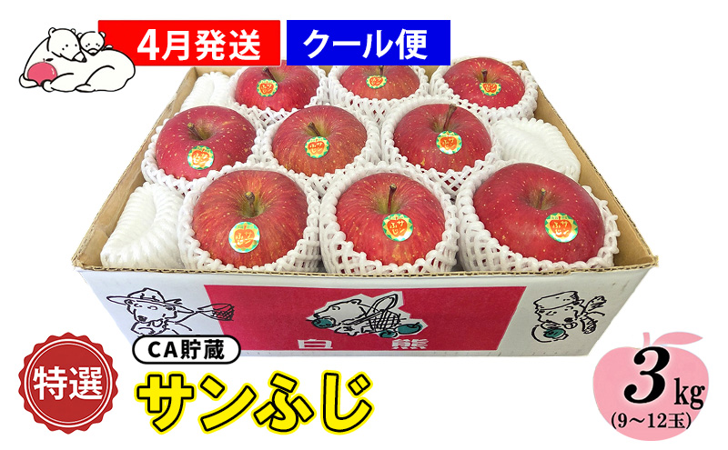 【クール便】4月発送 白熊 特選 サンふじ 絆 約3kg 糖度13度【青森りんご・ 果物 フルーツ 食後 デザート シャキシャキ ジューシー りんごの王様 】