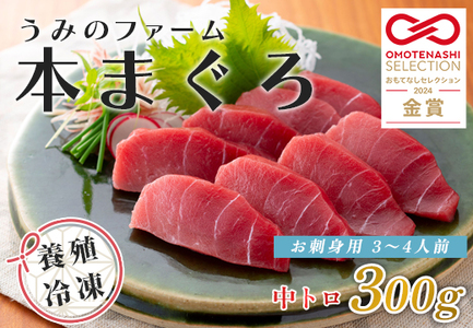 【高知県大月町産】うみのファーム お刺身用本まぐろ 中トロ 300ｇ