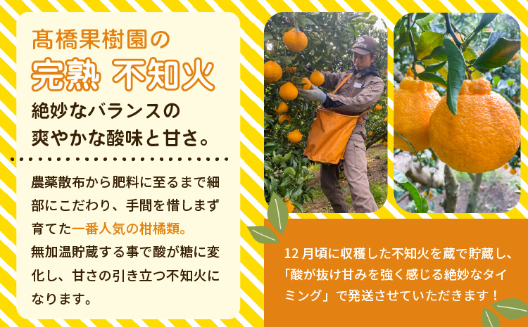 先行予約 不知火 家庭用 完熟不知火 約5kg 【髙橋果樹園】【2026年2月上旬から3月下旬発送予定】不揃い キズあり 訳あり SDGｓ B級品 しらぬい みかん ミカン 高橋果樹園 柑橘 かんきつ
