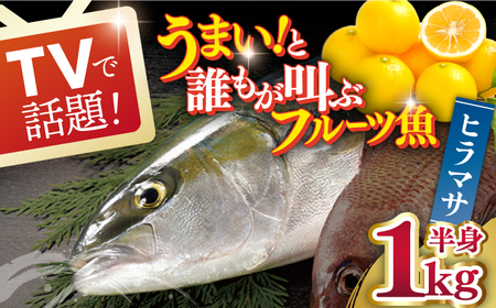 ヒラマサ 半身 平戸なつ香 ヒラス 約1kg【（株）坂野水産】[KAA207]/ 長崎 平戸 魚介類 魚 ヒラス ひらす 内臓処理済 レシピ ヒラマサ ひらまさ 刺身 たたき 刺身 塩焼き 刺身 漬け丼 刺身 しゃぶしゃぶ 刺身 アレンジ 刺身 冷蔵 刺身 国産 刺身 長崎 刺身 刺身 アレンジ 刺身 冷蔵 刺身 国産 刺身 長崎 刺身