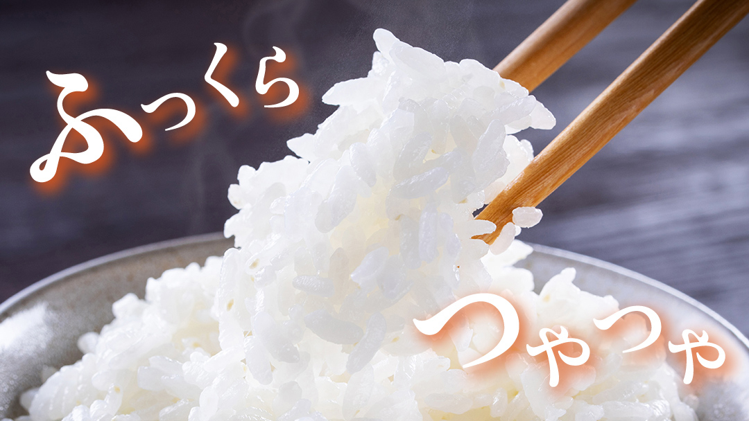 《 令和8年産 》 桜川市産 こしひかり 5kg 新米 先行予約 茨城県 桜川市 米 お米 白米 コメ ごはん 精米 コシヒカリ 国産 限定 銘柄米 [SC051sa]