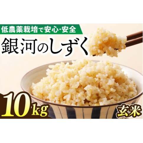 【新米 先行予約】令和6年産 銀河のしずく 10kg (玄米) 低農薬栽培米 生産者直送 (EI008)