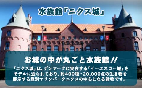 登別マリンパークニクス 入園券　大人1名