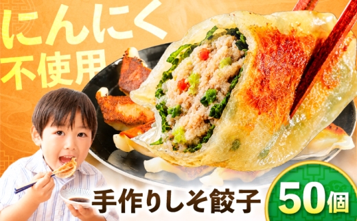 手作りしそ餃子 50個 国産 ぎょうざ おかず 岐阜市 / ながらぱいたん珀 [ANHY002]