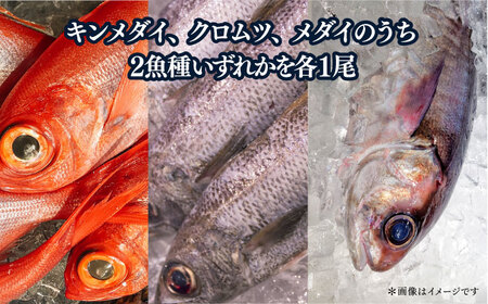 【冬季限定】下ごしらえ済 地魚セット 計2尾 鮮魚 処理済み 下処理済み キンメダイ クロムツ メダイ【長井水産株式会社】[AKAJ032]