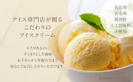 [バニラ味] 業務用アイス 1リットル アイス ロワゼット