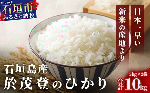石垣島産 於茂登(おもと)のひかり 10kg みやぎ米屋【 日本一早い新米の産地 石垣 米 お米 産地直送 旬 しきゆたか 沖縄県 石垣市 】MK-2
