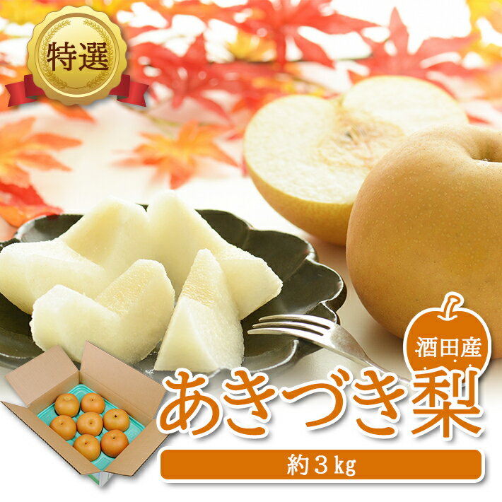 【ふるさと納税】特選 あきづき梨 約3kg（6〜9玉入） 山形県酒田産 10月上旬〜10月下旬頃お届け ※着日指定不可 和梨 ナシ 梨 なし 東北 山形県 酒田市 庄内