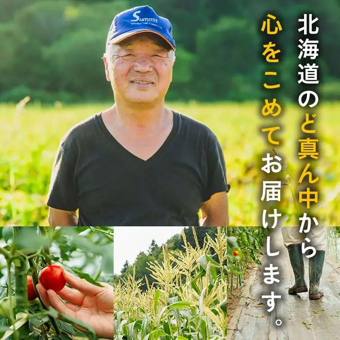 スイートコーン ホイップコーン 北海道 8本 2026年8月下旬より発送 【三栄アグリ】　A7096
