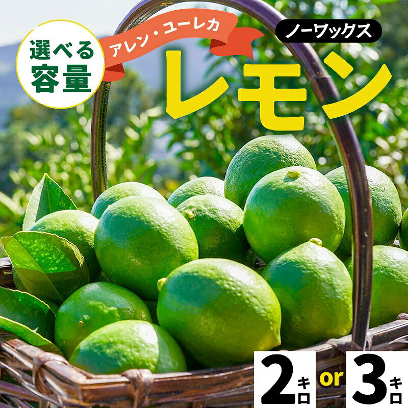 【ふるさと納税】 【期間限定】 淡路島産 アレン・ユーレカレモン 2kg / 3kg 国産レモン 淡路島 瀬戸内レモン 檸檬 lemon 柑橘 レモネード レモンサワー