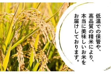 【令和7年産 新米！！2025年9月10日以降順次発送】丹波篠山産特Aランク越光（５kｇ×１袋） 白米 100％単一原料米 産地直送米 贈答 おいしいコシヒカリ お米 精米 コシヒカリ ブランドコシヒ