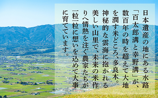 【おいしい米 定期便 毎月発送 全6回】 ＜ R5年産 新米 先行予約 ＞ 多良木町産 こめたらぎ にこまる 10kg × 6ヶ月 合計60kg 【 白米 精米 熊本県 多良木町 自然 豊か グランプ