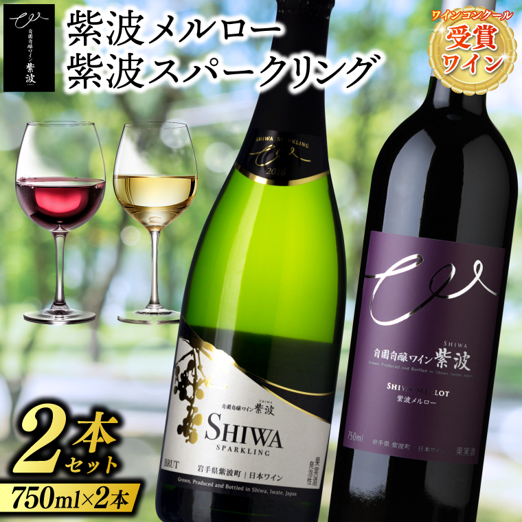 ＼贈り物・ギフトに最適／ 紫波町産 ワインぶどう 100% テロワール 「ワインコンクール受賞ワイン２本セット」 (AL071)