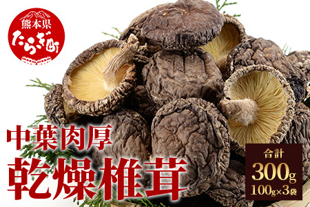 【お中元ギフト】	槻木産 中葉厚肉 乾燥椎茸 計300g (100g×3袋)  026-0573-c