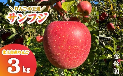 ＼ 11月下旬発送予定 ／ 【 北上市産 りんご 】サンフジ 【厳選玉】 3キロ (約8～12玉)  贈答用 林檎 リンゴ サンふじ 3kg 国産 東北 岩手 産地直送 フルーツ 果物 岩手県 北上市 C0172 金鈴園 お土産 お取り寄せ グルメ 贈り物