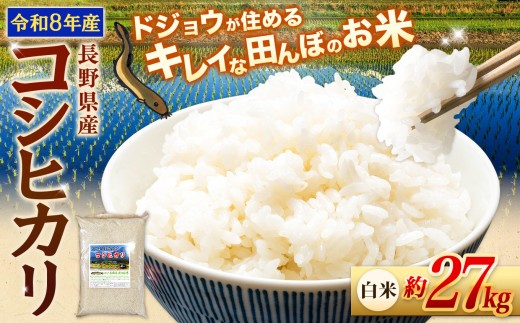 【令和8年産先行予約】≪どじょうのいる田んぼのお米≫ コシヒカリ 信州安曇野松川村産｜白米 約27kg 有機肥料 低農薬 自然栽培 安曇野米 ごはん ライス 長野県 松川村 送料無料 国産米 産地直送 農家直送 新米対応