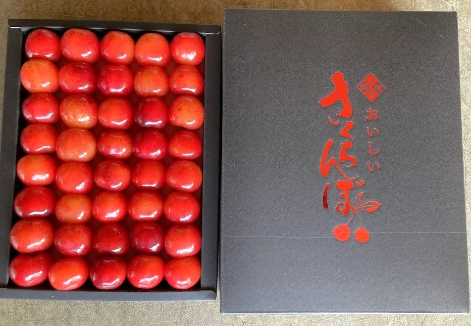 
            さくらんぼ（佐藤錦）　お化粧詰め　特秀品　３００ｇ　0044-2503
          