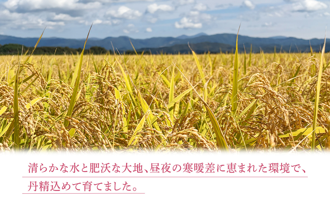 【 新米 】 令和8年産 ひとめぼれ 5kg 精米 こめ コメ お米 おこめ ライス 白米 ご飯 ごはん 米 岩手県 紫波町産 5キロ 国産米 [AO006]