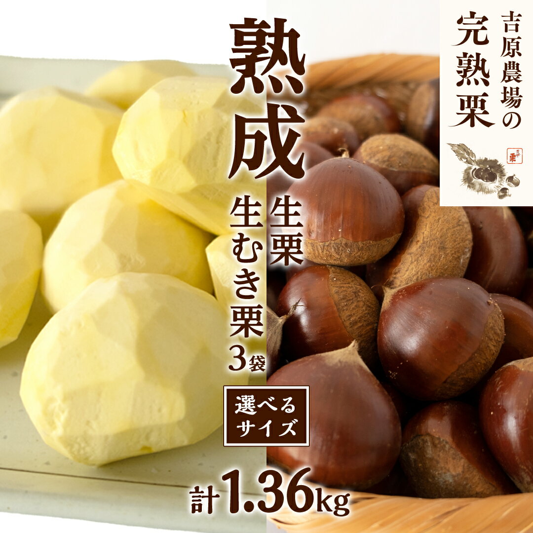 【ふるさと納税】【 吉原農場 の 完熟栗 】 熟成 生栗 ( 選べる サイズ ) 1kg ・ 生むき栗 3袋 セット 令和7年産 完熟 栗 くり クリ 栗ごはん 贈答 ギフト 果物 フルーツ 数量限定 旬 秋 冬 正月 おせち