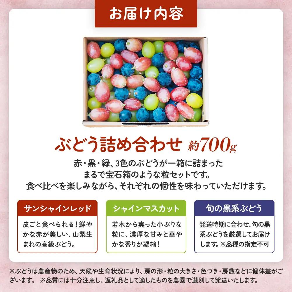 旬の彩り 粒ぶどう 詰め合わせ（約700g） 山梨県産ぶどう ぶどう