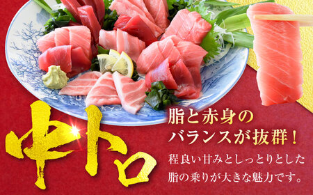 天然 本まぐろ 中トロ 計約900g （4柵入り）【横須賀商工会議所 おもてなしギフト事務局（本まぐろ直売所 横須賀本店）】[AKAK101]