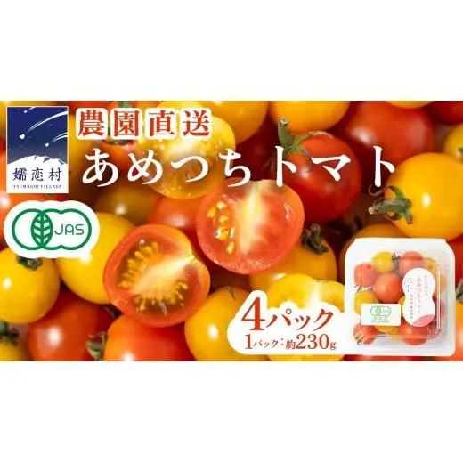 【8月下旬発送開始】 ミニトマト 約 230g × 4パック 【 あめつち農園 】 [BP001tu]