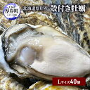 【ふるさと納税】北海道 厚岸産 殻付き 牡蠣 Lサイズ 40個　【 魚貝類 生牡蠣 海鮮 海の幸 生食用牡蠣 生食用 生食用殻付き牡蠣 濃厚 甘み オイスター 】