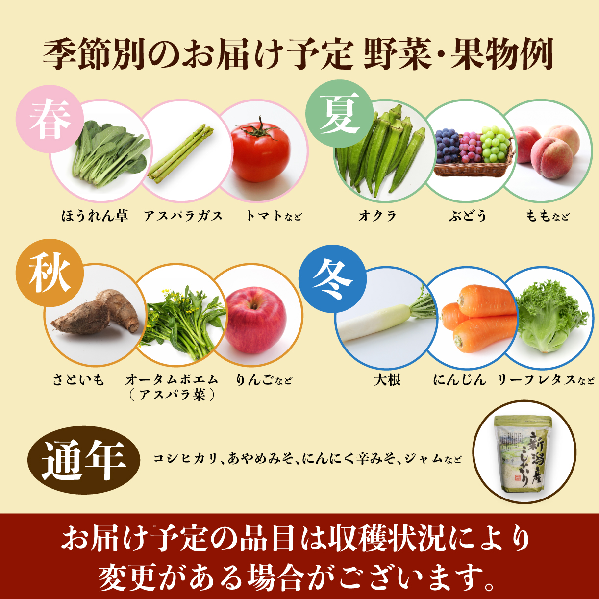 先行予約 野菜 果物 旬 お楽しみセット 10~13種類  詰め合わせ ほうれん草 水菜 アスパラガス トマト オクラ ぶどう もも さといも オータムポエム りんご にんじん 大根 リーフレタス 米