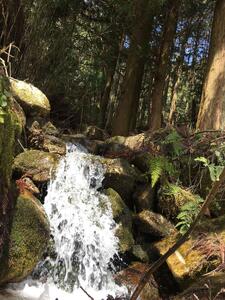 米粒が光る近江棚田米 特別栽培米 滋賀県大津産 コシヒカリ 玄米10kg