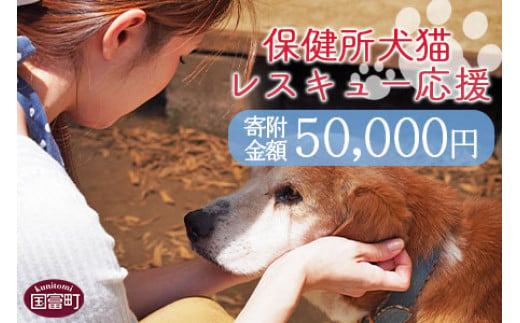 
＜保健所犬猫レスキュー【返礼品なしのご寄附】＞寄付金額50,000円※お礼状をお送りいたします。【 動物愛護 保護 犬 猫 いぬ ねこ イヌ ネコ 動物 どうぶつ ペット 応援 支援 寄付 使い道 いのちのはうす保護家 】
