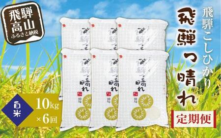 【数量限定】【定期便】こしひかり飛騨っ晴れ 白米 10kg 6回 お届け 生産者直送 お米 コシヒカリ 飛騨産 飛騨高山 アグリランド  JF102